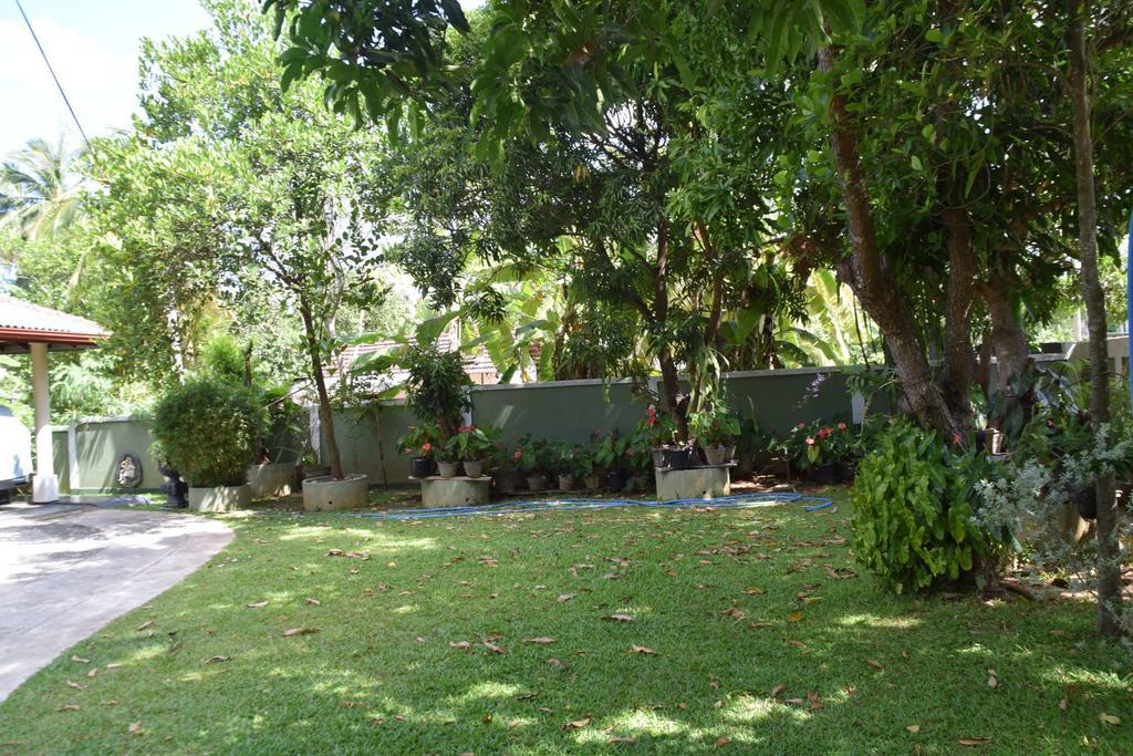Saffron Guest Inn Polonnaruwa Bagian luar foto